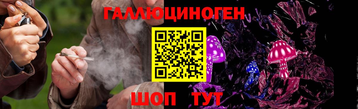 Псилоцибиновые грибы Psilocybine cubensis Радужный